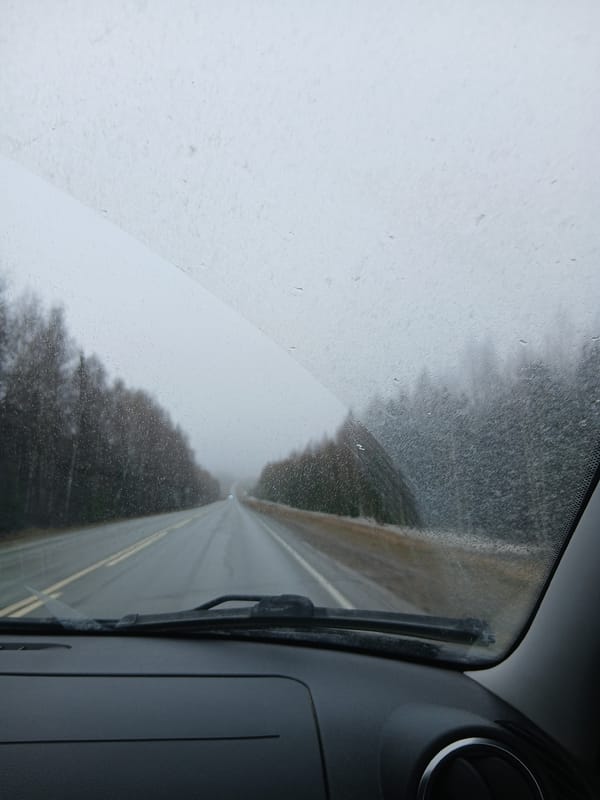 Rainy morning drive captured on tree-lined road in Russia