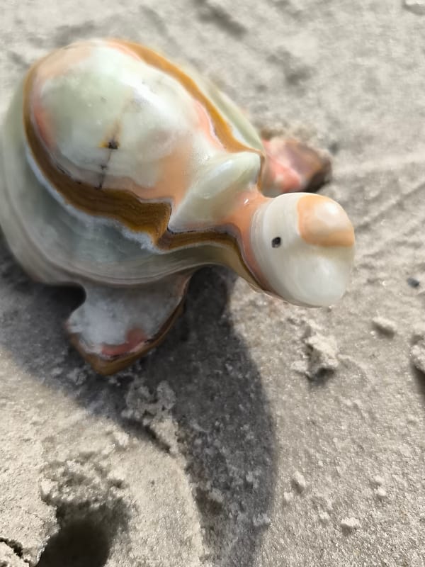 Beach treasures and coastal scenes documented in Klaipėda, Lithuania