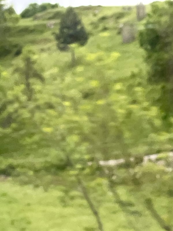 Blurred landscape photograph captured in Vilići, Montenegro