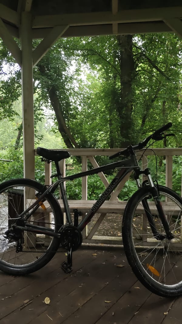 Bicycle parked at a forest gazebo in Podosinki, Russia