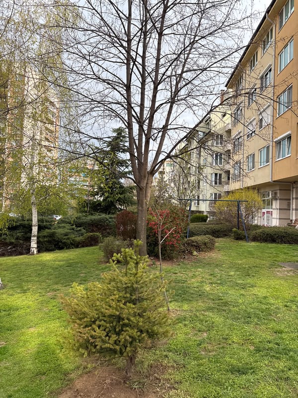 Construction activity documented in Sofia residential area