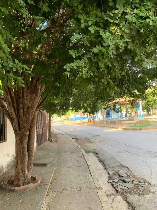 Casual evening stroll documented through Santa Ana Venezuela streets