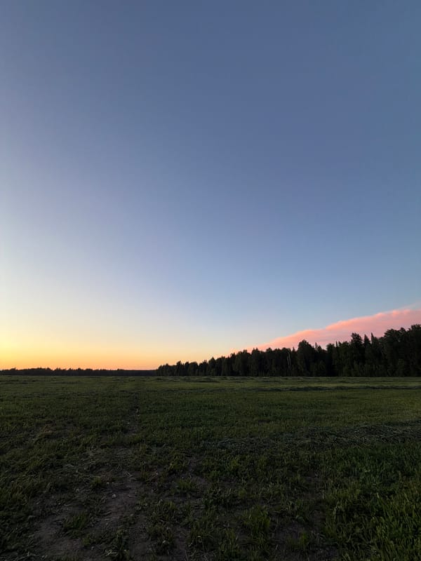Man documents golden hour countryside moments in rural Russia