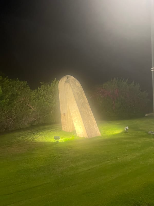 Cactus flowers bloom at night by an illuminated roundabout in Israel