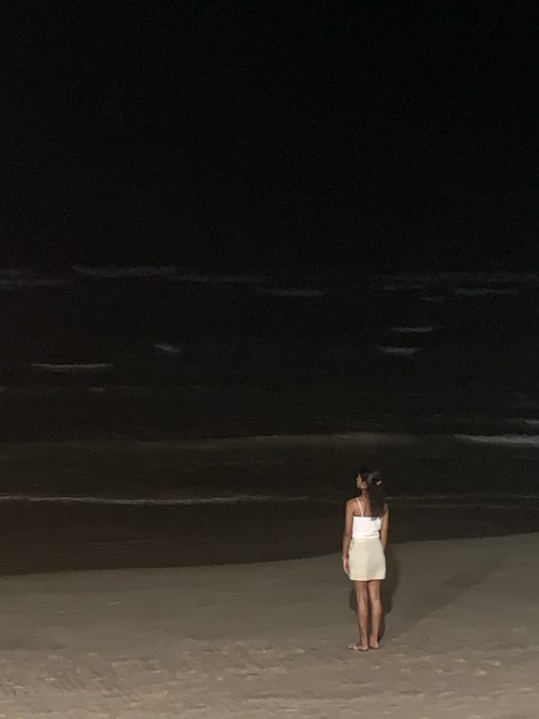 Quiet moments captured in Ahangama: beachside evening, resting dog