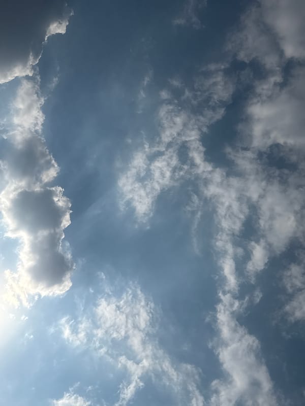 Mexico City urban scenes and cloud formations documented