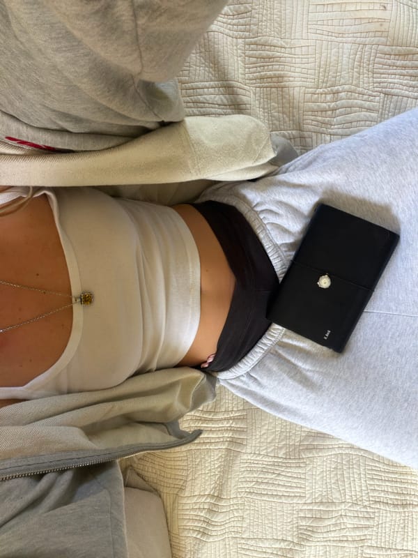 Quiet domestic afternoon captured in Los Angeles living space