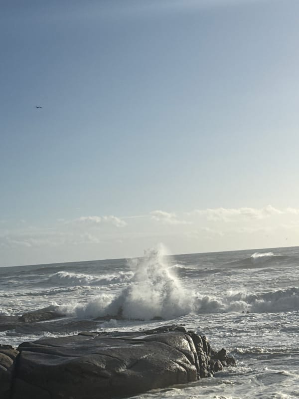 Rough seas crash against Cape Town rocky coastline