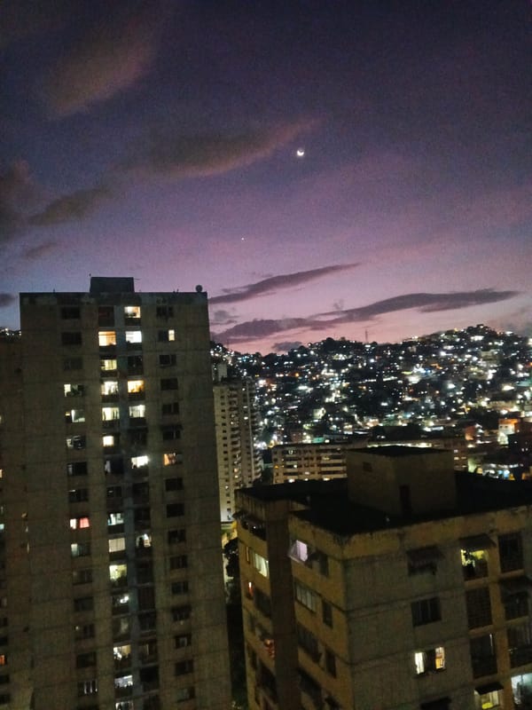 Evening cityscape and cat grooming captured by witness