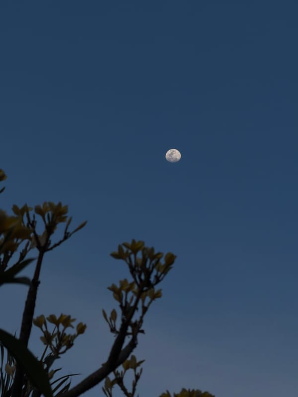 Baby portrait and daytime moon captured in Reforma