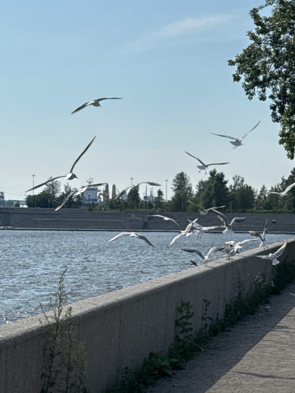 Sunny afternoon on a Saint Petersburg riverside promenade