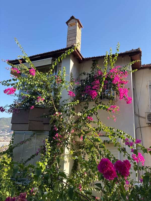 Morning light across Alanya — rooftops, blooms, and coastal views
