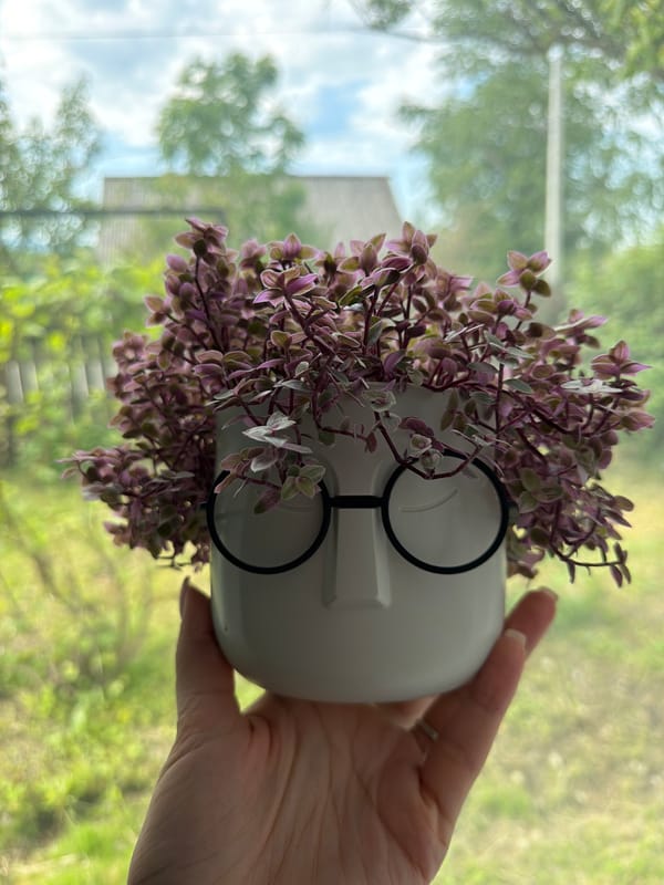 3D printer enthusiast showcases fresh prints in Sergeyevka