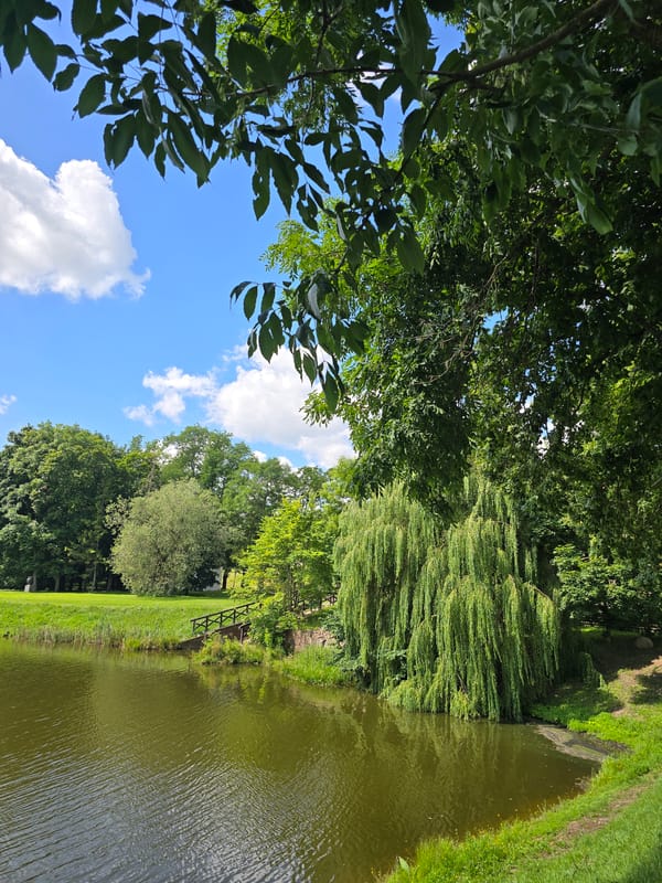Nesvizh Castle and its lakeside grounds on a summer morning