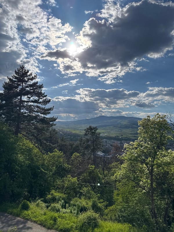 Elevated panoramic view captured of Kyustendil, Bulgaria cityscape