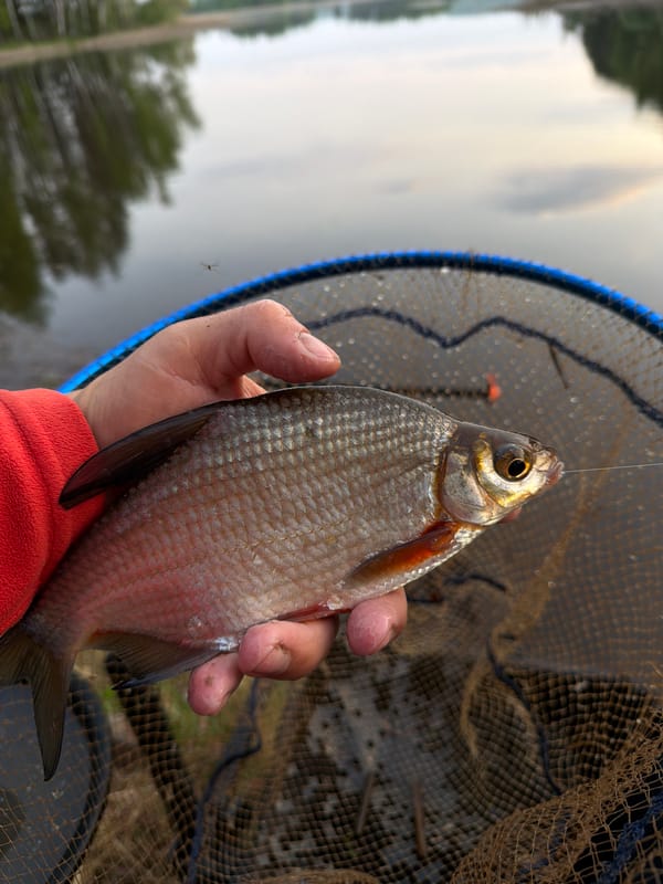 Late night fishing catch documented in Chaykovsky, Russia