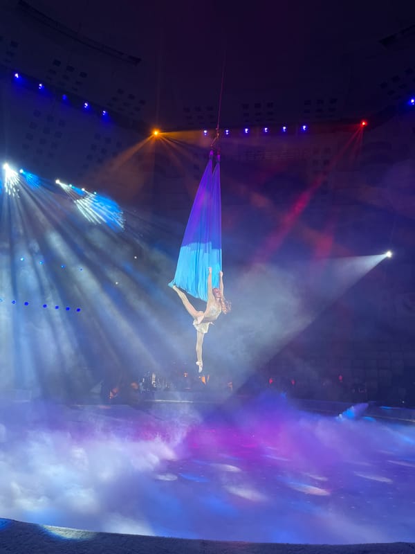 Morning at the Izhevsk State Circus: full show in progress