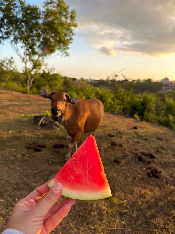 Daily life scenes documented in Kuta Selatan, Indonesia