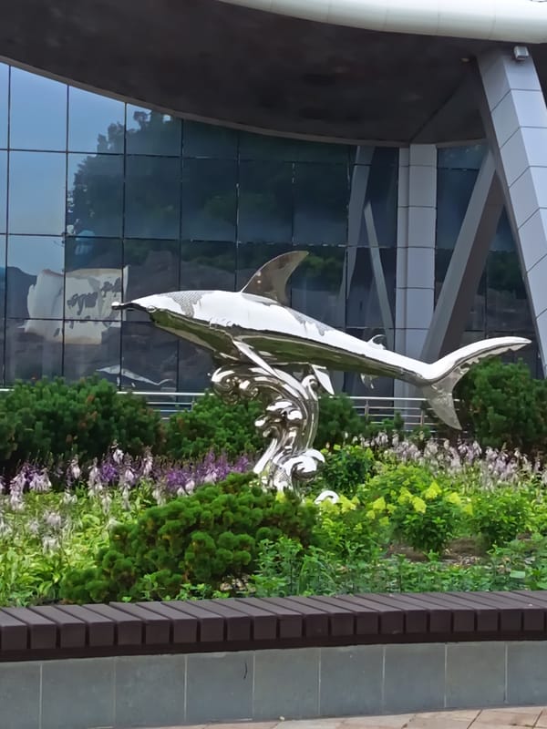 Around FEFU's Russky Island campus on a summer morning