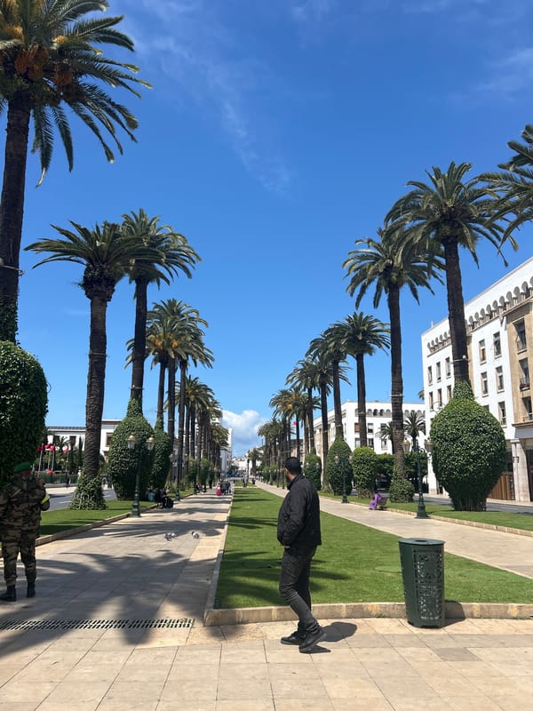 Palm-lined street scenes documented in Rabat, Morocco
