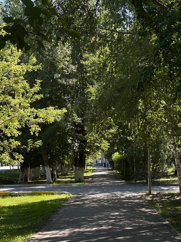 Sunny stroll through a green park with a tiered fountain