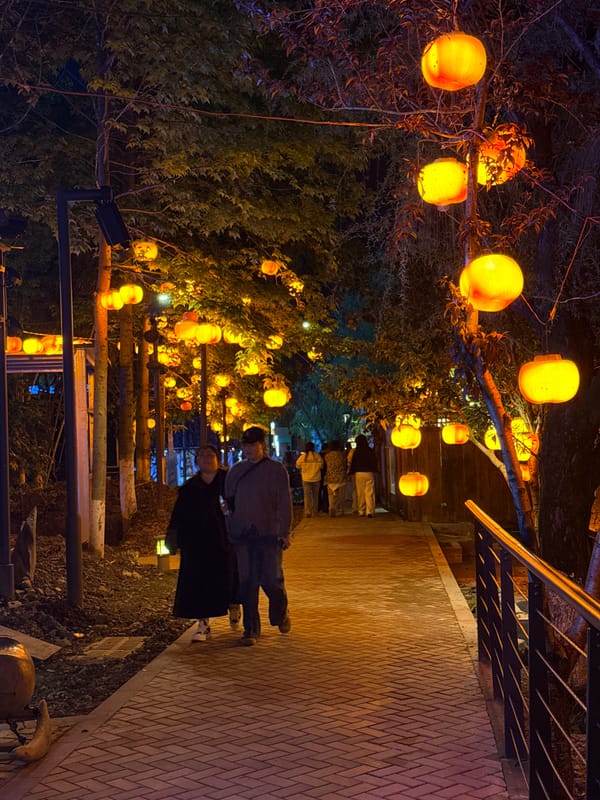 Nighttime lantern festival illuminates Wulingyuan scenic area in China