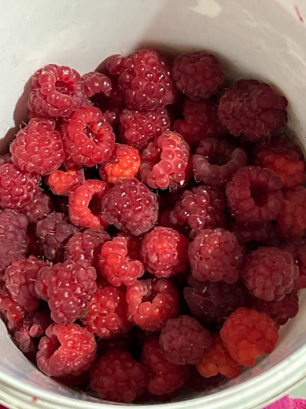 Raspberries, garden blooms, and a quick selfie on a summer morning