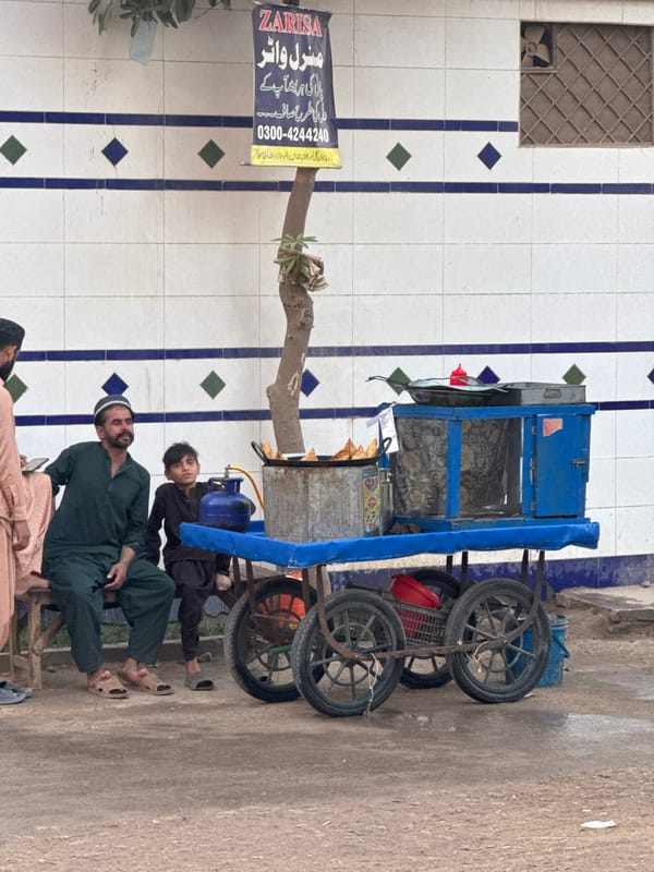Street vendors and livestock documented in Multan, Pakistan