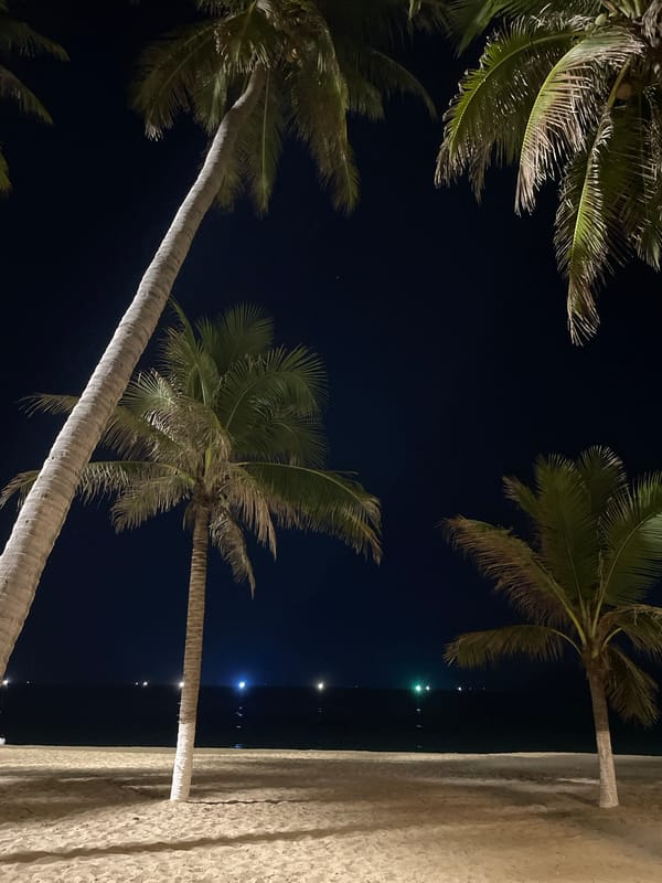 Palm trees silhouetted against night sky on Nha Trang beach