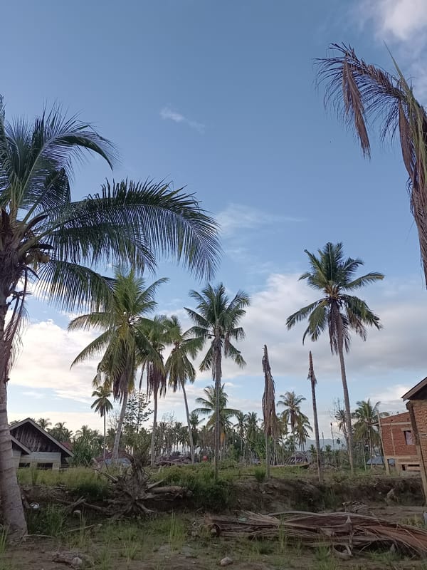 Rural Meunasah Raya: palms, open land, and unfinished homes