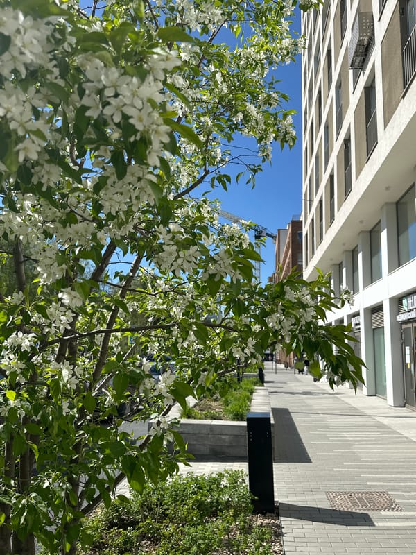 Spring blooms and street life captured in Yekaterinburg