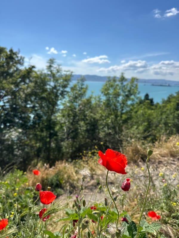 Clear skies and calm seas observed in Novorossiysk