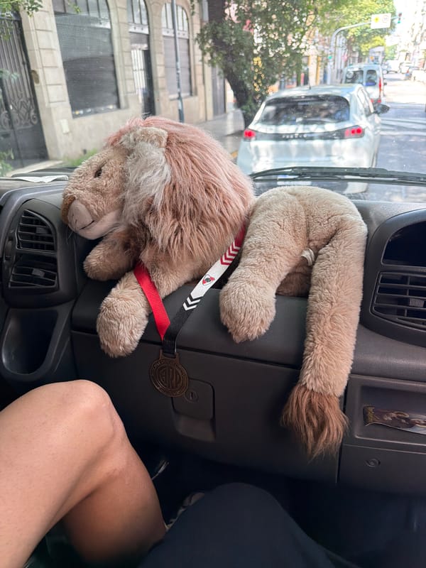 Everyday Buenos Aires moments captured across city streets