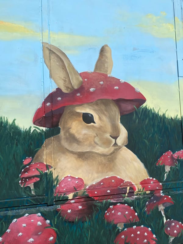 Street art and sky observed in Buenos Aires Monday evening