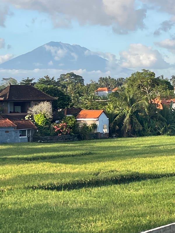 Rural tropical landscape with rice paddies and mountains documented