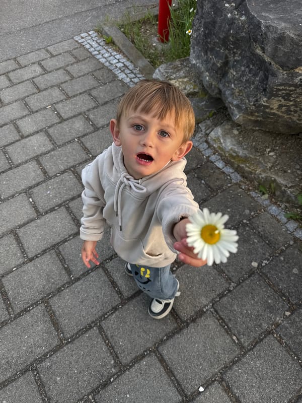 Family RV trip documented in Riedlingen with child picking daisies