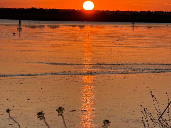 Sunset documented over Breydon Water near Great Yarmouth