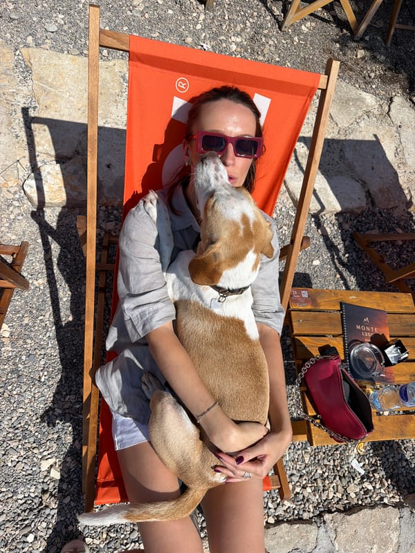 Sunny afternoon in Montenegro with a very affectionate beagle