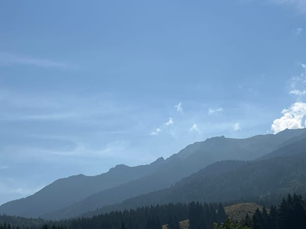 Layered mountain views from a forested overlook, birds in flight