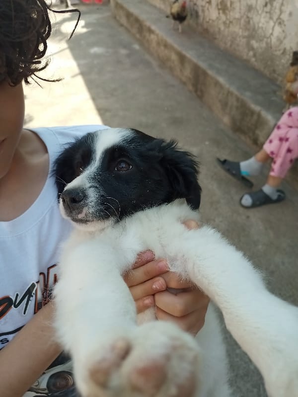 Evening neighborhood life documented in Cumbaya, Ecuador