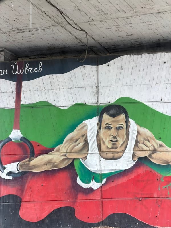 Mixed scenes captured across Sofia: street art, work, politics