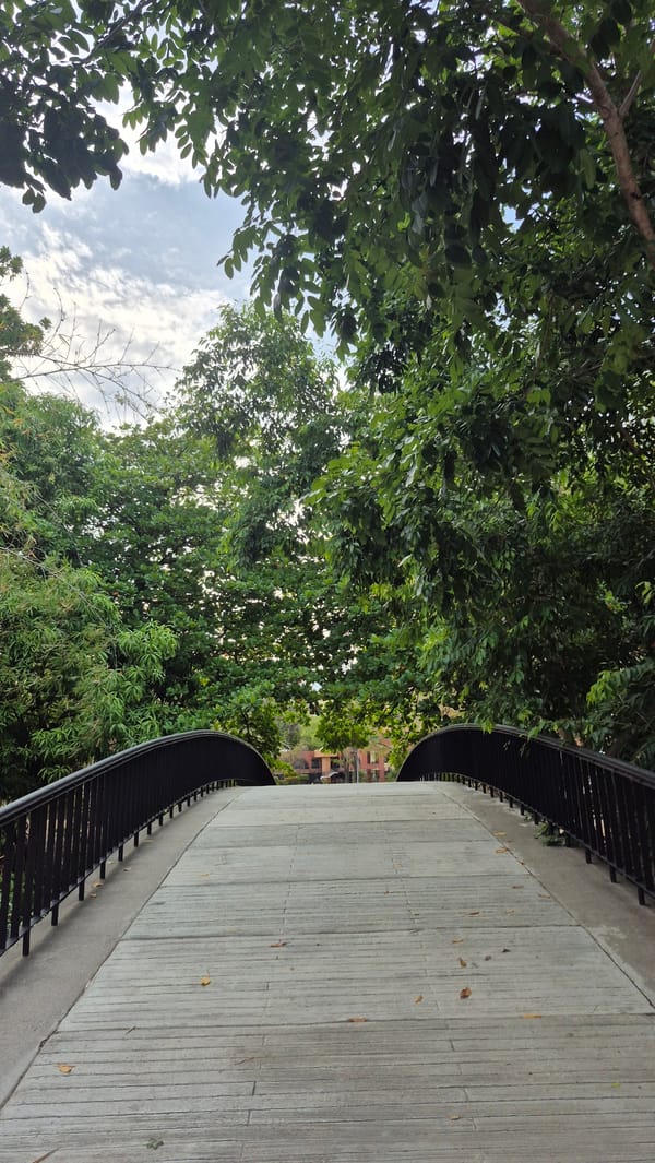 Evening documentation of urban pathways and buildings in Valencia