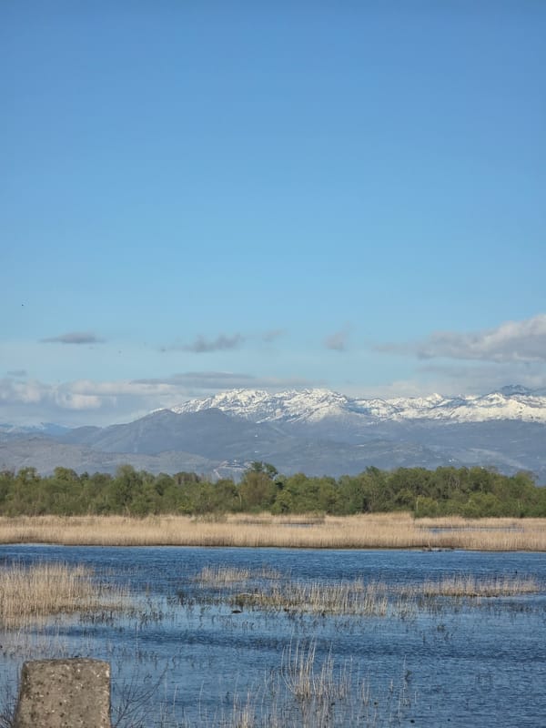 Landscape scene captured in Vranjina, Montenegro