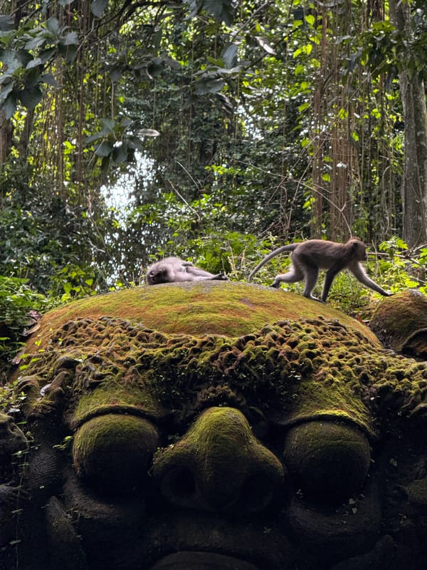 Ancient moss-covered stone sculptures documented in Ubud tropical forest