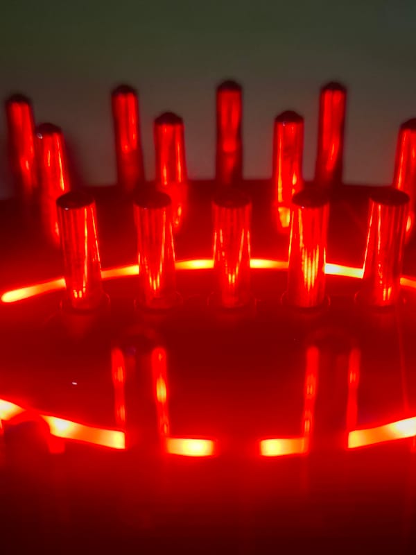 Close-up cat photos and red grid lights documented in Novi Sad