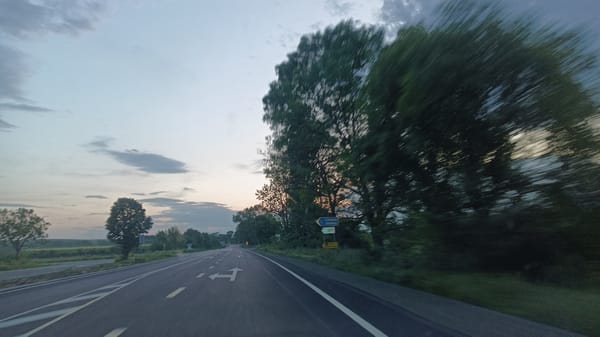 Vehicle travels tree-lined road in Sokolovo, Bulgaria under cloudy skies