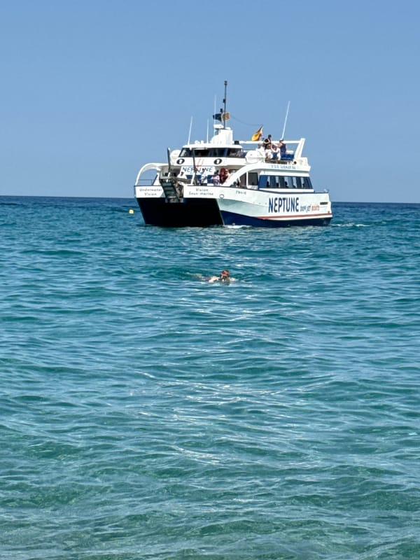 Neptune catamaran works the Blanes shoreline on a packed summer afternoon