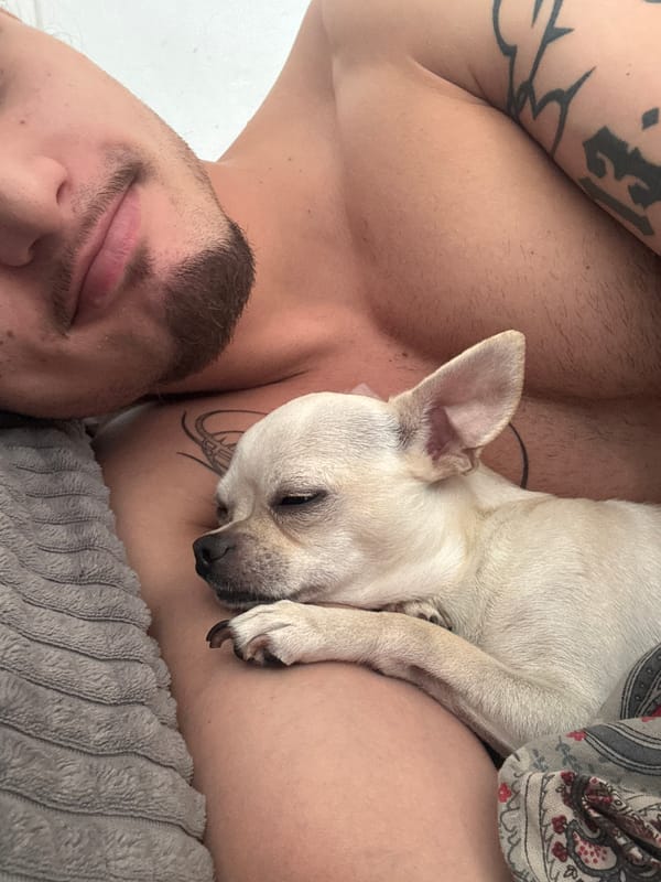 Man and dog rest together indoors in Sofia