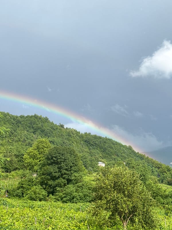 Rainbow over lush green hills in Khvanchkara, Georgia