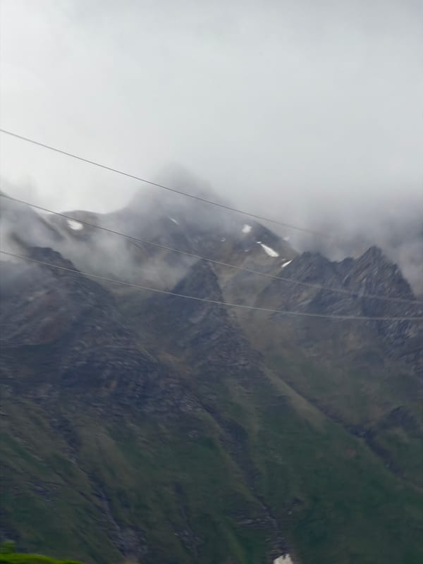 Mountain road journey through fog, livestock, and active construction